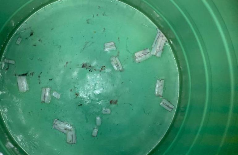 Mantenimiento y reparacion de cisternas rotoplas